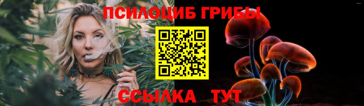 Галлюциногенные грибы Psilocybe Дзержинский